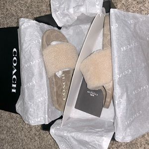 COACH Ulla Slides/Slippers. Woman’s size 6, but the box says size 8.